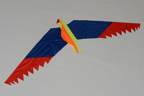 Попугай.  �3