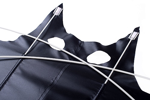 Летучая мышь.  �6