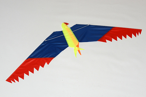 Попугай.  �5