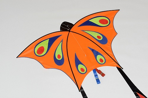 Бабочка.  �4